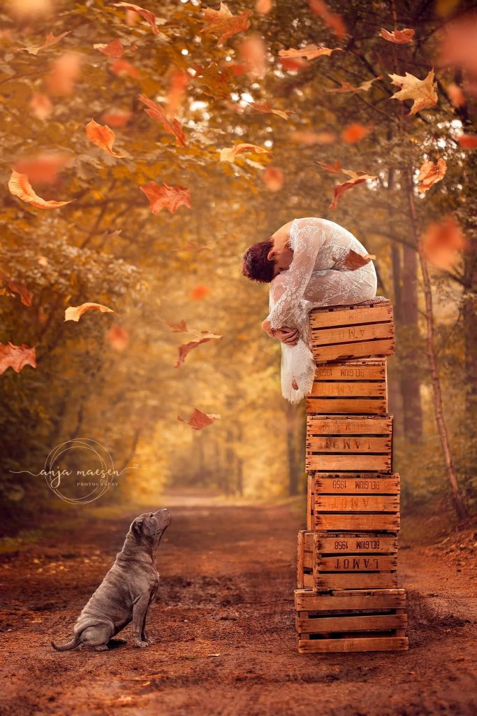 hondenfotografie - hoe het begon - newborn-fotografie-fotograaf-Limburg-België-Halen-Award - Newborn - Maternity - Kinderfotografie - Anja Maesen Photography - studioshoot - fine art fotografie - babyfotografie - zwangerschapsfotografie